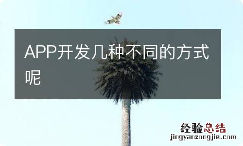 APP开发几种不同的方式呢