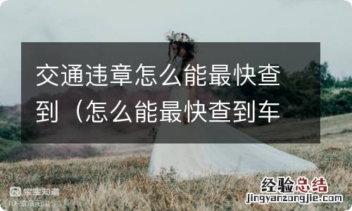 怎么能最快查到车辆违章 交通违章怎么能最快查到