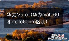 华为mate60和mate60pro区别 华为Mate