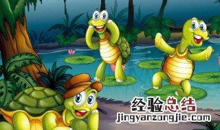 土龟应该怎么养才好 土龟应该怎么养