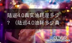 陆巡4.0油耗多少真实油耗 陆巡4.0真实油耗是多少？