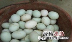 怎么剥开鸭蛋 怎么剥开鸭蛋壳