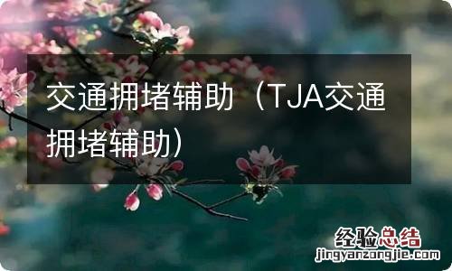 TJA交通拥堵辅助 交通拥堵辅助