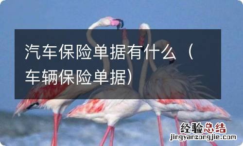 车辆保险单据 汽车保险单据有什么