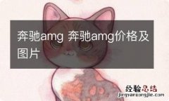 奔驰amg 奔驰amg价格及图片