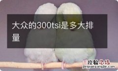 大众的300tsi是多大排量