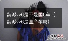 魏派vv6是国产车吗 魏派vv6是不是国6车