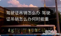 驾驶证吊销怎么办 驾驶证吊销怎么办何时能重新办理