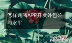 怎样判断APP开发外包公司水平