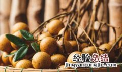 桂圆种植盆栽方法 桂圆盆栽如何种植