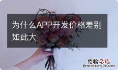 为什么APP开发价格差别如此大