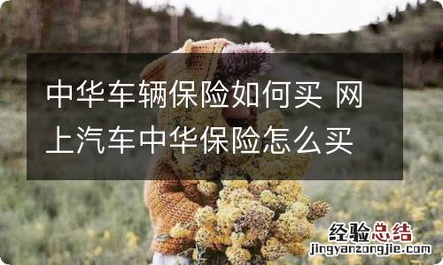 中华车辆保险如何买 网上汽车中华保险怎么买