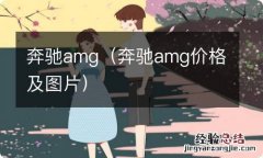 奔驰amg价格及图片 奔驰amg