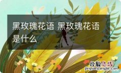 黑玫瑰花语 黑玫瑰花语是什么