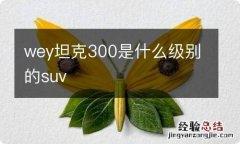 wey坦克300是什么级别的suv