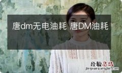 唐dm无电油耗 唐DM油耗