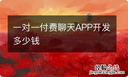 一对一付费聊天APP开发多少钱