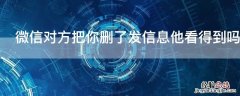 微信对方把你删了发信息他看得到吗