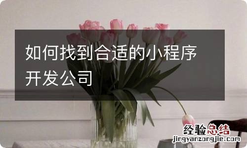 如何找到合适的小程序开发公司