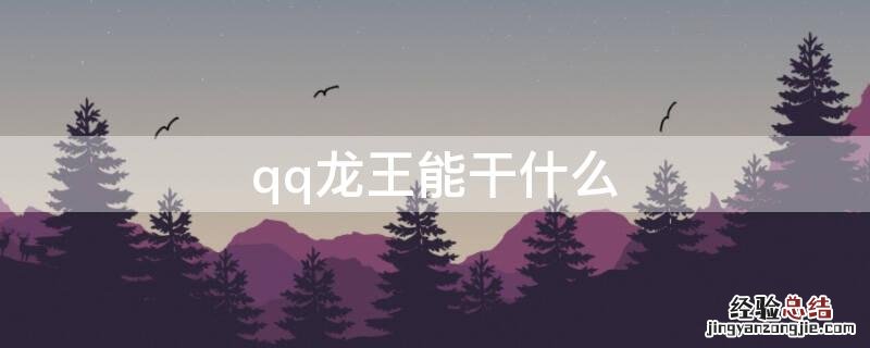 qq龙王能干什么