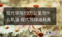 现代领翔13万公里用什么机油 现代领翔油耗高