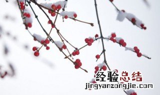 瑞雪是什么时候的雪 瑞雪是冬季的降雪