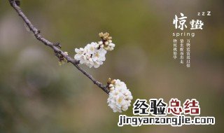 惊蛰有哪些习俗 惊蛰有哪些风俗