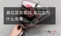 黄花菜有毒吗 黄花菜为什么有毒