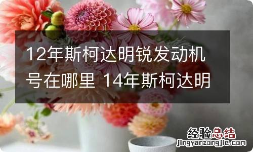 12年斯柯达明锐发动机号在哪里 14年斯柯达明锐发动机号在哪里