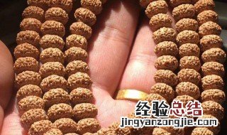 金刚菩提子的寓意与作用 金刚菩提子介绍