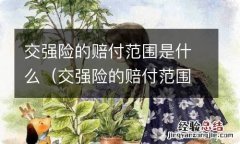 交强险的赔付范围是多少 交强险的赔付范围是什么