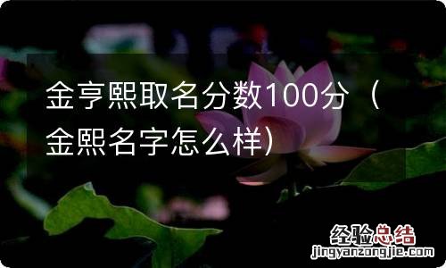 金熙名字怎么样 金亨熙取名分数100分