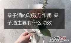 桑子酒的功效与作用 桑子酒主要有什么功效