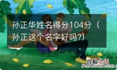 孙正这个名字好吗? 孙正华姓名得分104分