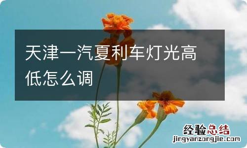 天津一汽夏利车灯光高低怎么调