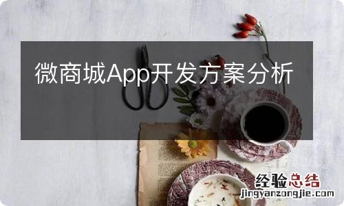 微商城App开发方案分析