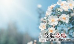 春分节气养生祝福短信问候语 春分节气养生祝福短信问候语图片