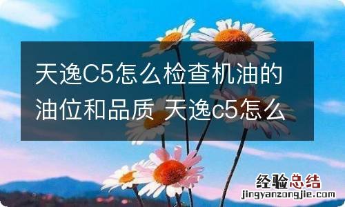 天逸C5怎么检查机油的油位和品质 天逸c5怎么检查机油的油位和品质问题