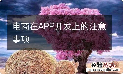 电商在APP开发上的注意事项