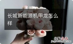 长城新能源机甲龙怎么样