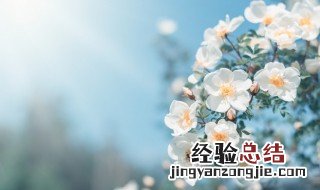 春分节气祝福语图片 春分节气祝福语