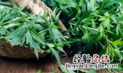 蚊子怕艾草的味道吗 蚊子怕艾条的味道吗