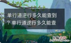 单行道逆行多久能查到? 单行道逆行多久能查到信息