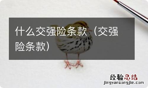 交强险条款 什么交强险条款