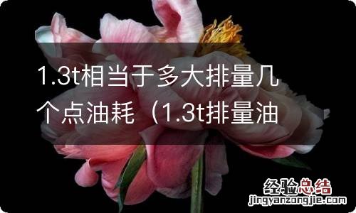 1.3t排量油耗多少 1.3t相当于多大排量几个点油耗