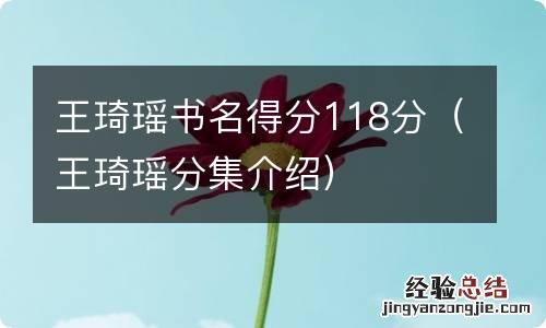 王琦瑶分集介绍 王琦瑶书名得分118分