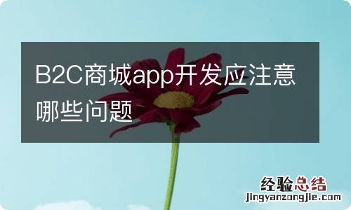 B2C商城app开发应注意哪些问题