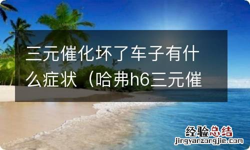 哈弗h6三元催化坏了车子有什么症状 三元催化坏了车子有什么症状