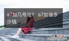 a7加几号油？ a7加油多少钱