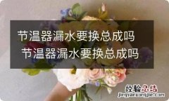 节温器漏水要换总成吗 节温器漏水要换总成吗视频